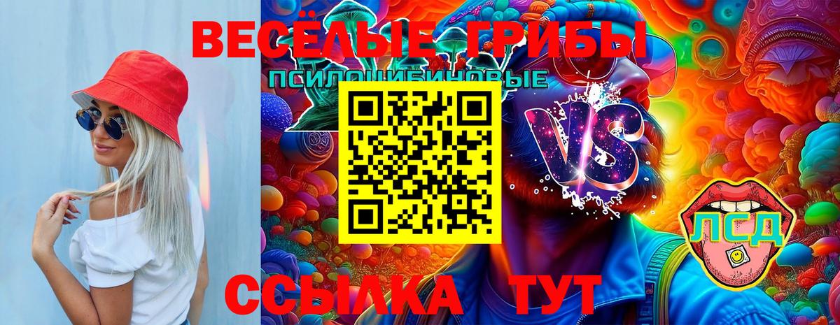 Галлюциногенные грибы Psilocybine cubensis Верхняя Салда